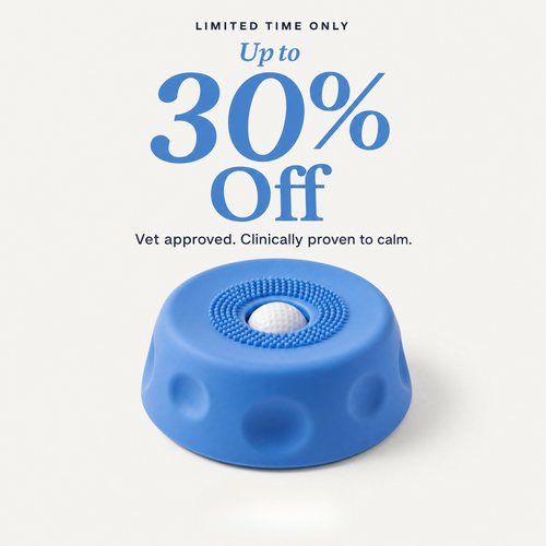 Pawfect Bowl™ 2.0 - Vet Approved Slow Feeding System