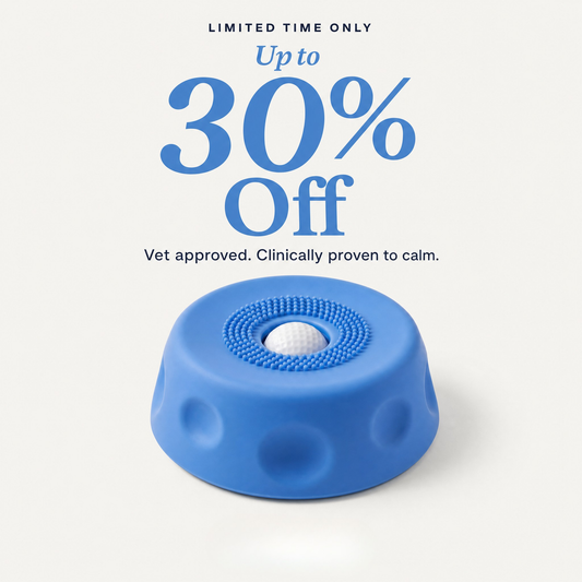 Pawfect Bowl™ 2.0 - Vet Approved Slow Feeding System